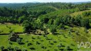 Annonce Vente Maison PEDROGAO-GRANDE