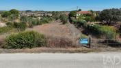 Annonce Vente Terrain RIO-MAIOR