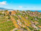 Acheter Terrain FUNCHAL r�gion MADEIRA