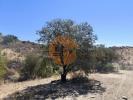 Annonce Vente Terrain CASTRO-MARIM