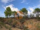 Annonce Vente Terrain CASTRO-MARIM