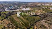 Annonce Vente Maison SILVES