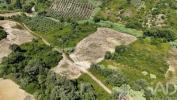 Acheter Terrain 12120 m2 RIO-MAIOR