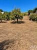 Acheter Terrain CASTELO-BRANCO r�gion BRAGANCA