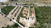 Acheter Terrain 8560 m2 RIO-MAIOR