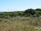 Acheter Terrain 32767 m2 ALENQUER