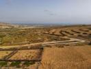 Vente Terrain PORTO-SANTO 9400