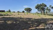 Annonce Vente Terrain ALCOBACA