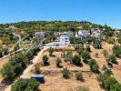 Annonce Vente Maison LOULE