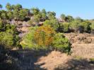 Annonce Vente Terrain CASTRO-MARIM