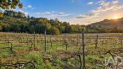 Annonce Vente Maison MARCO-DE-CANAVESES