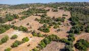 Annonce Vente Terrain PORCHES