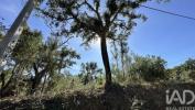 Acheter Terrain 840 m2 PEDROGAO-GRANDE