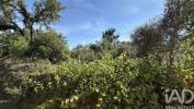 Acheter Terrain PEDROGAO-GRANDE r�gion LEIRIA
