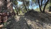 Acheter Terrain 647 m2 PEDROGAO-GRANDE