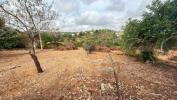 Acheter Maison OLHAO r�gion FARO
