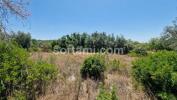 Annonce Vente Terrain FARO
