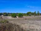 Acheter Terrain 6016 m2 CORUCHE